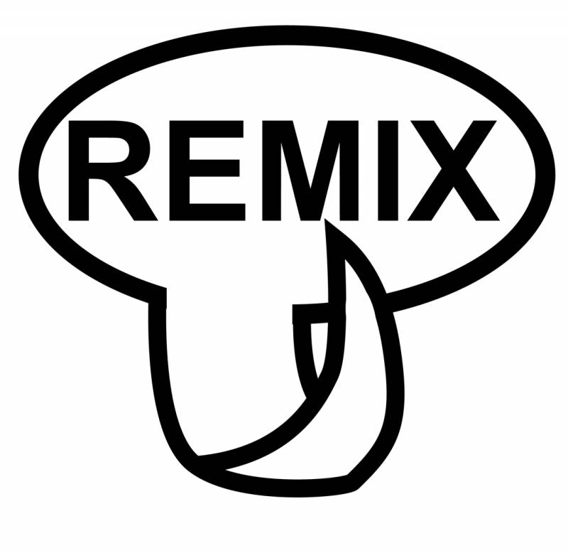 Remix – umělé vědomí ve směsi lidských sdělení Remix – umělé vědomí ve směsi lidských sdělení